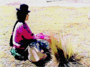 Voir le détail de cette oeuvre: Péruvienne au bord du lac Titicaca
